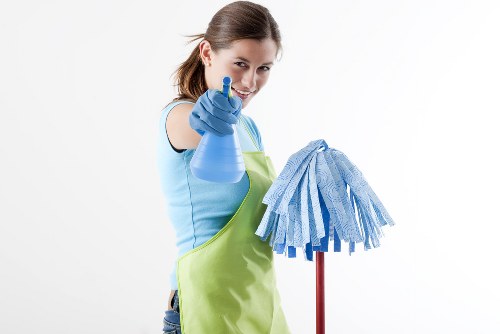 Professional domestic cleaning services in action