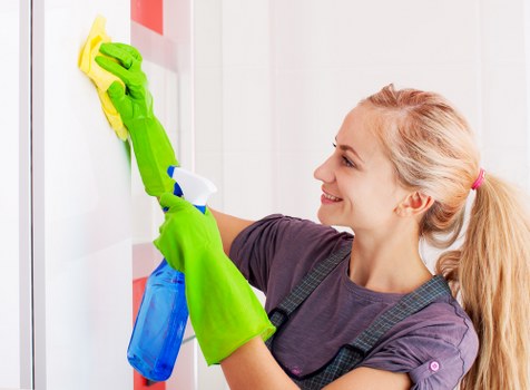 Go Broom product lineup showcasing innovative cleaning tools