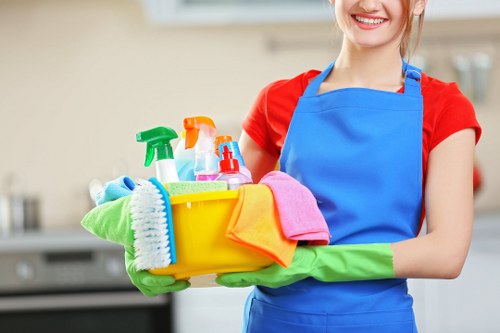 Professional carpet cleaning service in Go Broom