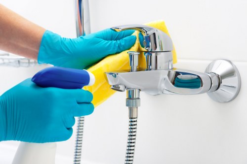Eco-friendly carpet cleaning options