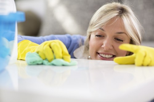 Selection of eco-friendly rug cleaning products