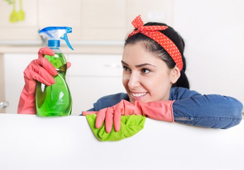 Professional technicians performing rug cleaning