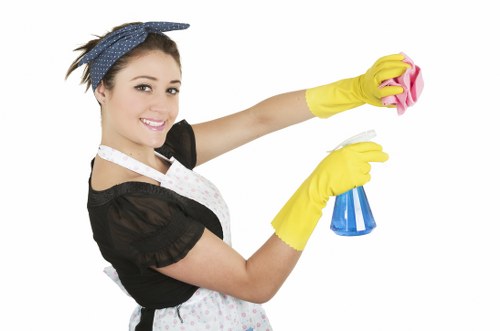 Maintaining a clean oven with Go Broom services