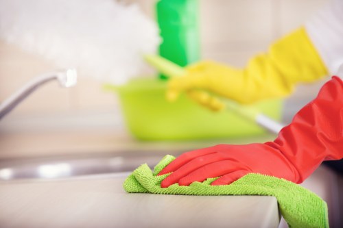 Clogged gutters showing signs of needing cleaning
