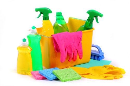 Tools used for DIY gutter cleaning